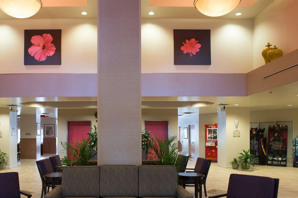Hotel Comfort Suites Maingate East