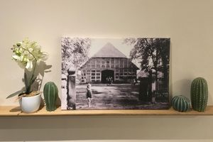 Alquiler Vacacional - Living in the green