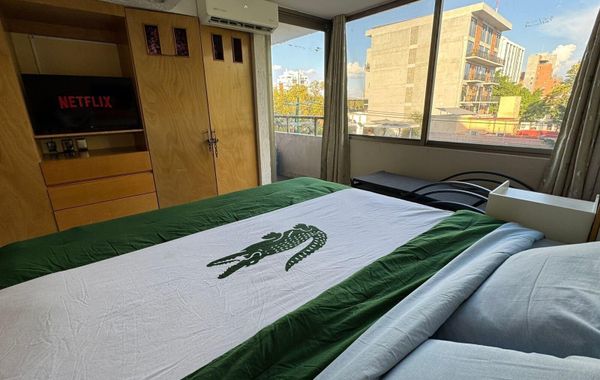 King room in the coolest area of gdl - Hoteles cerca de La Minerva en Guadalajara