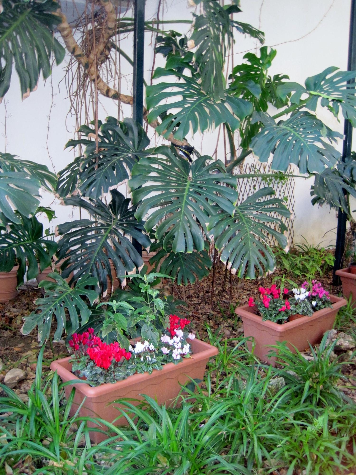 Vista Exterior Lirma B&B