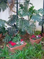 Alojamiento - Lirma B&B