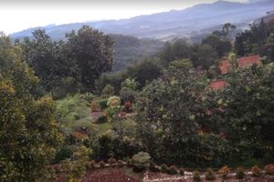 Alojamiento - Villa Patih