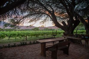 Alojamiento - La Casa De La Bodega - Wine Boutique Hotel