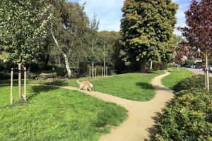 Alquiler Vacacional - Villa Antonius Amsterdam