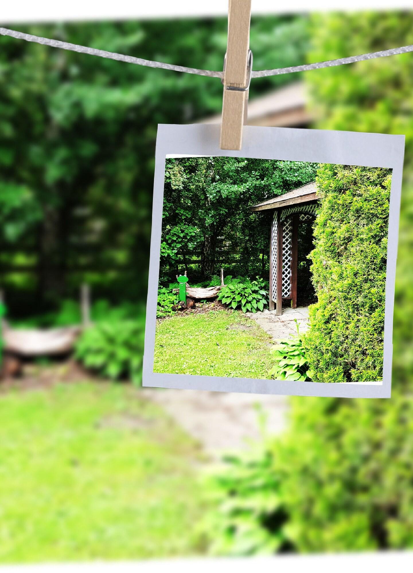 Vista Exterior Familotel Landhaus Pfahlershof