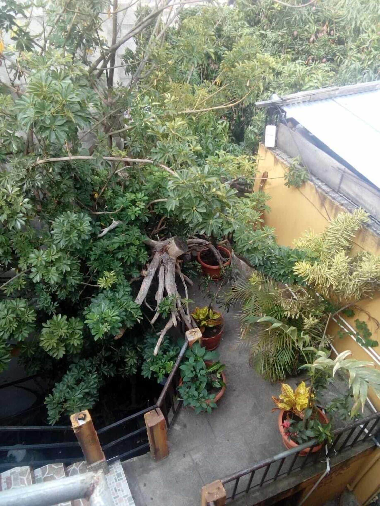 Comodidades del Alojamiento Hotel San Francisco