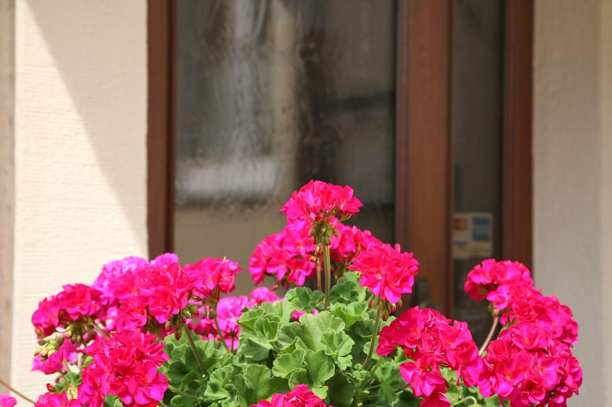 Vista Lobby Hotel An der Altstadt