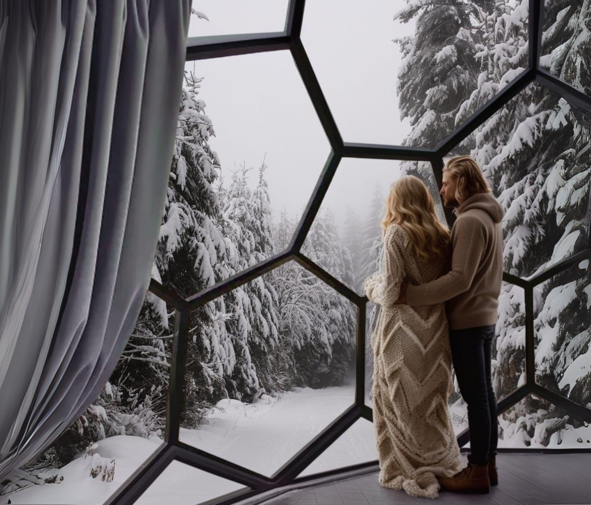 Habitación SKOG - Aurora igloos