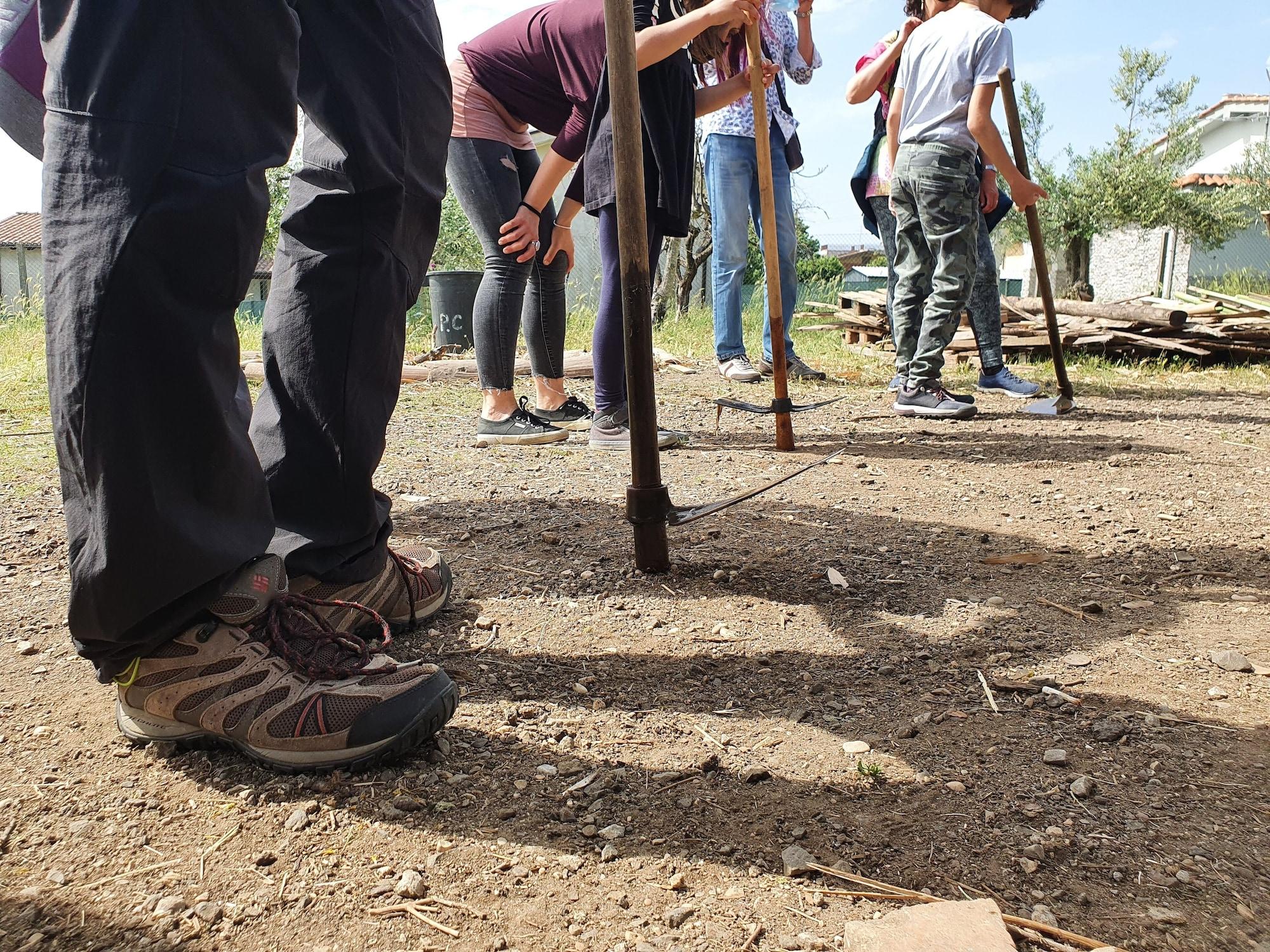 Vista Exterior Wiki Hostel & Greenvillage