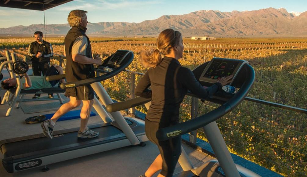 Instalaciones Recreativas The Vine Resort & spa