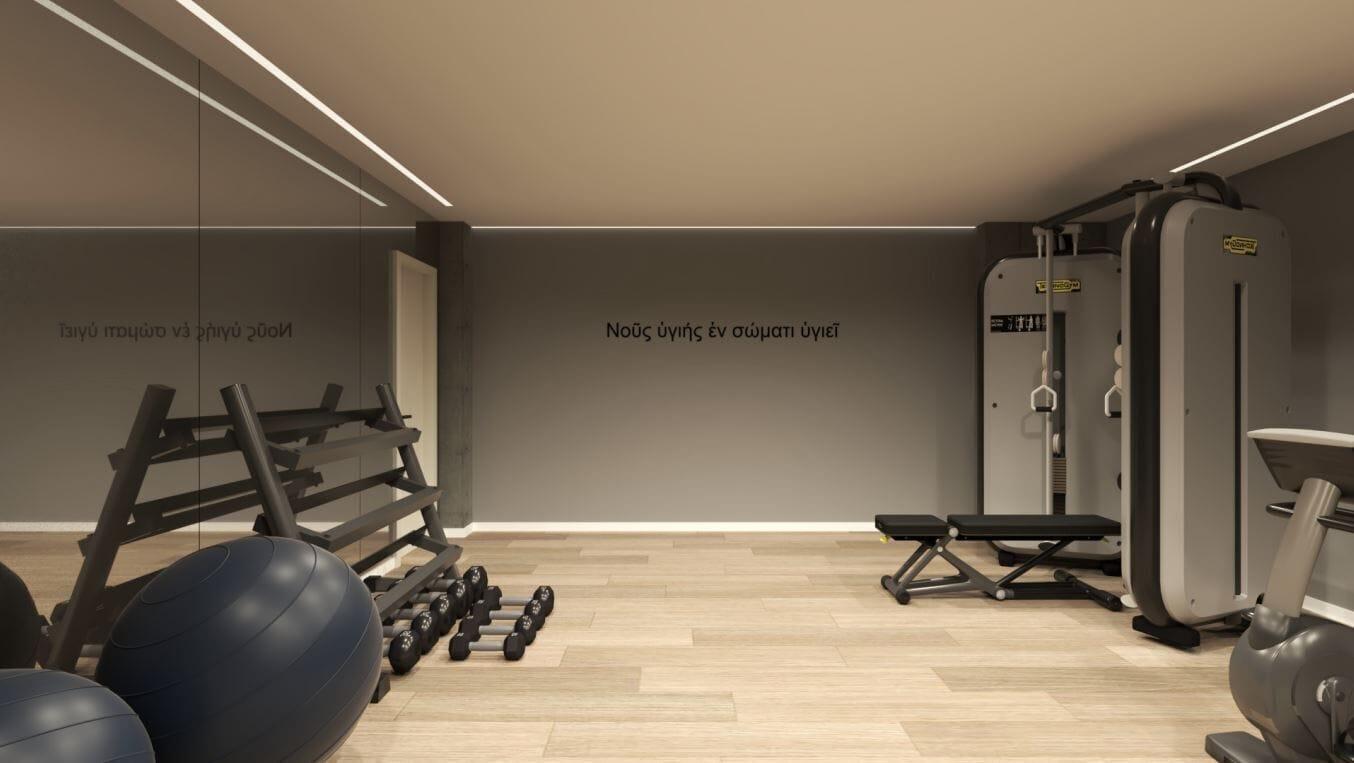 Gimnasio Athena Acropolis View