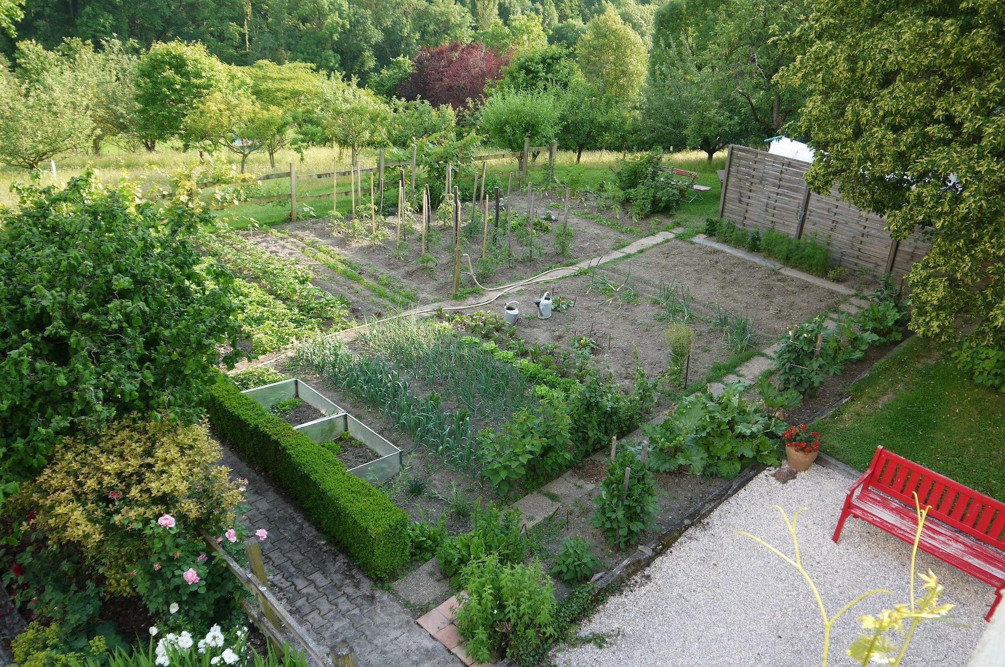 Comodidades del Alojamiento Bed & Breakfast Eth Berye Petit