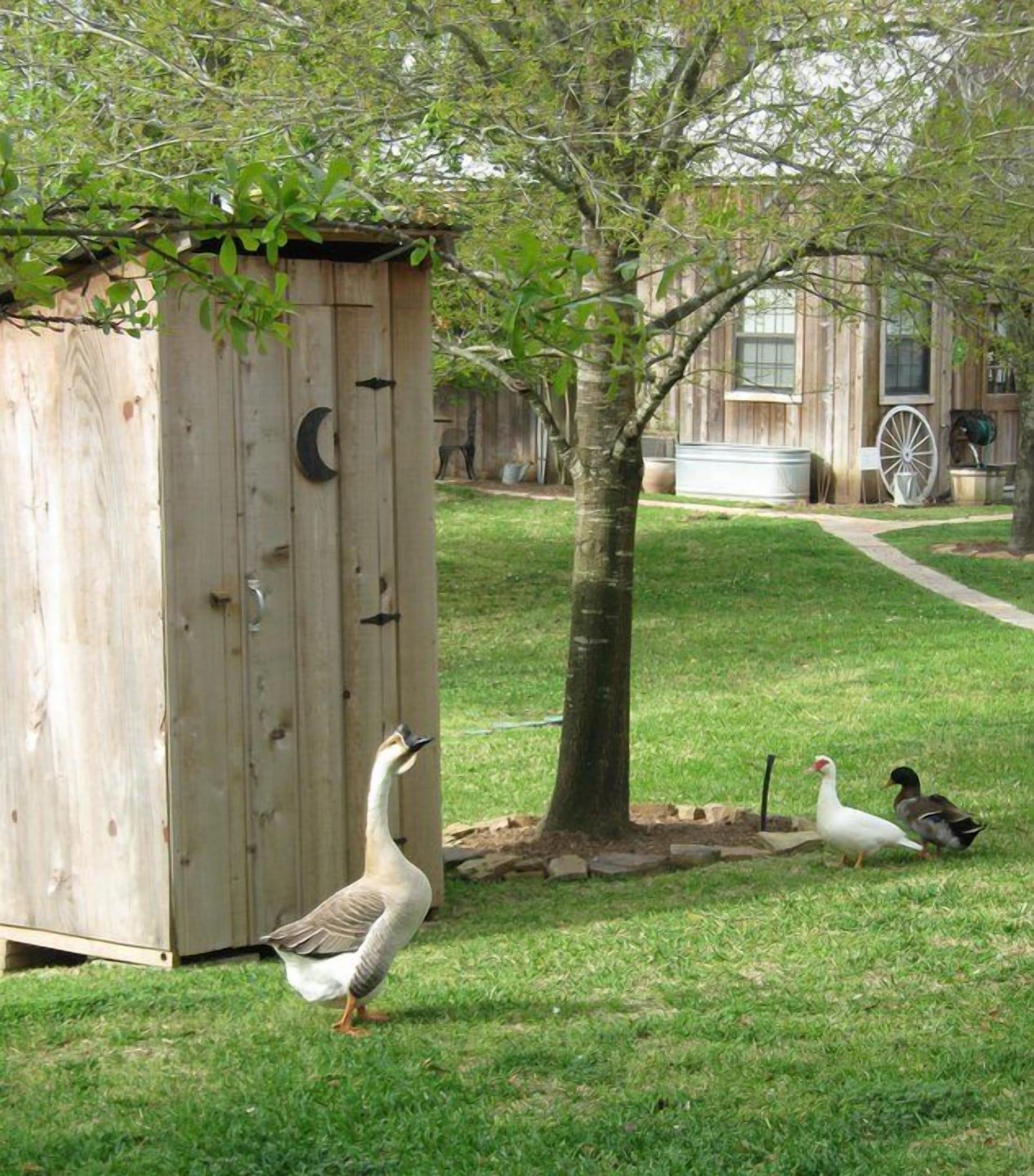 Varios Honey Farm Bed & Breakfast