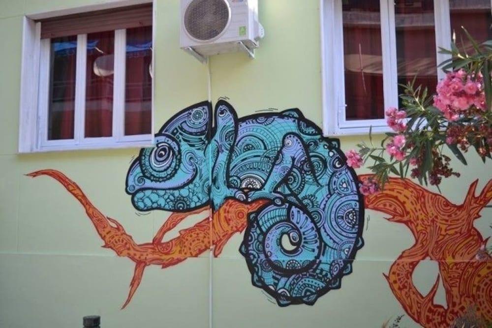 Vista Exterior Chameleon Youth Hostel - Hostel