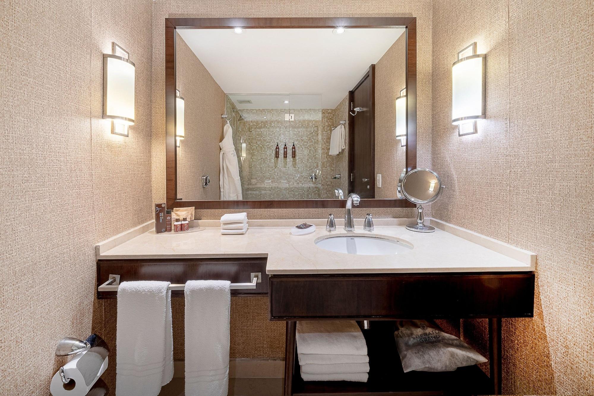 Sheraton Grand Rio Hotel & Resort - foto 134