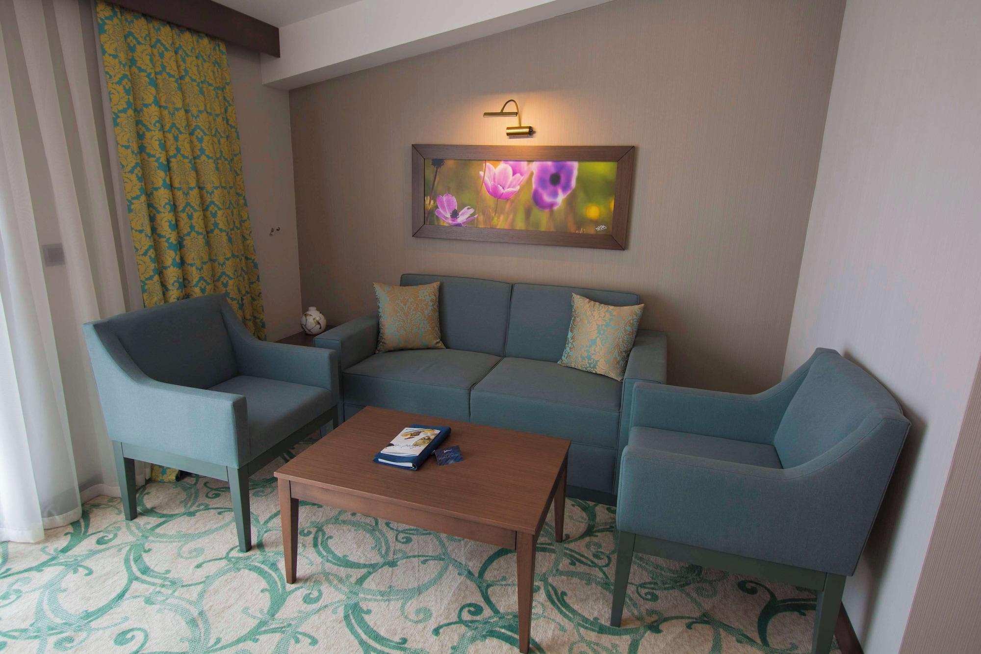 Habitación Radisson Blu Hotel, Ordu