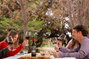 Actividad - Vinos, Viñedos y Picnic: Descubrí el Encanto de las Bodegas Mendocinas