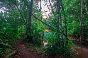 Alojamiento - Santuario de Ranas Valle Azul
