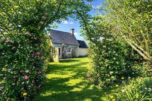 Arriendo temporal - A charming place to stay surrounded by lush greenery