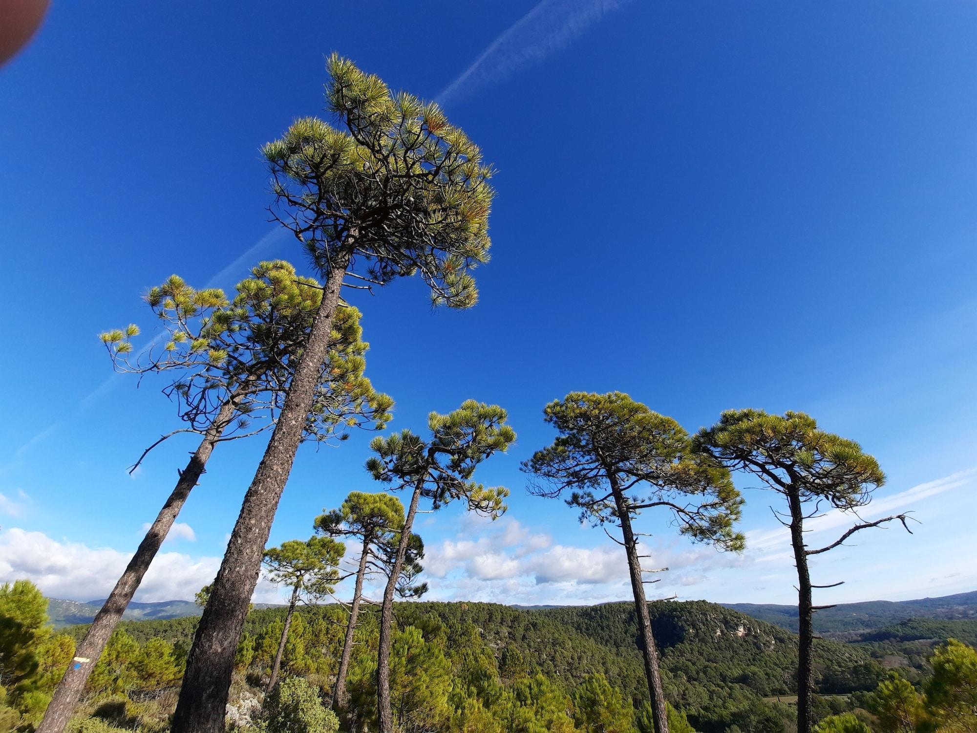 Instalaciones Recreativas Villa Lei Rigau