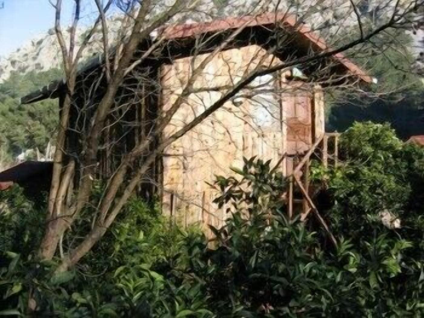 Vista Exterior Bayrams Tree Houses