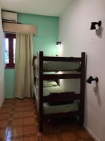 Alojamiento - The Grapevine Hostel