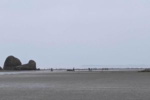 Alquiler Vacacional - Coastal Washington Getaway: Walk to Beach!