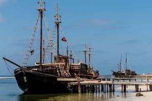 Actividad - Paseo en barco pirata por Flamingo Island