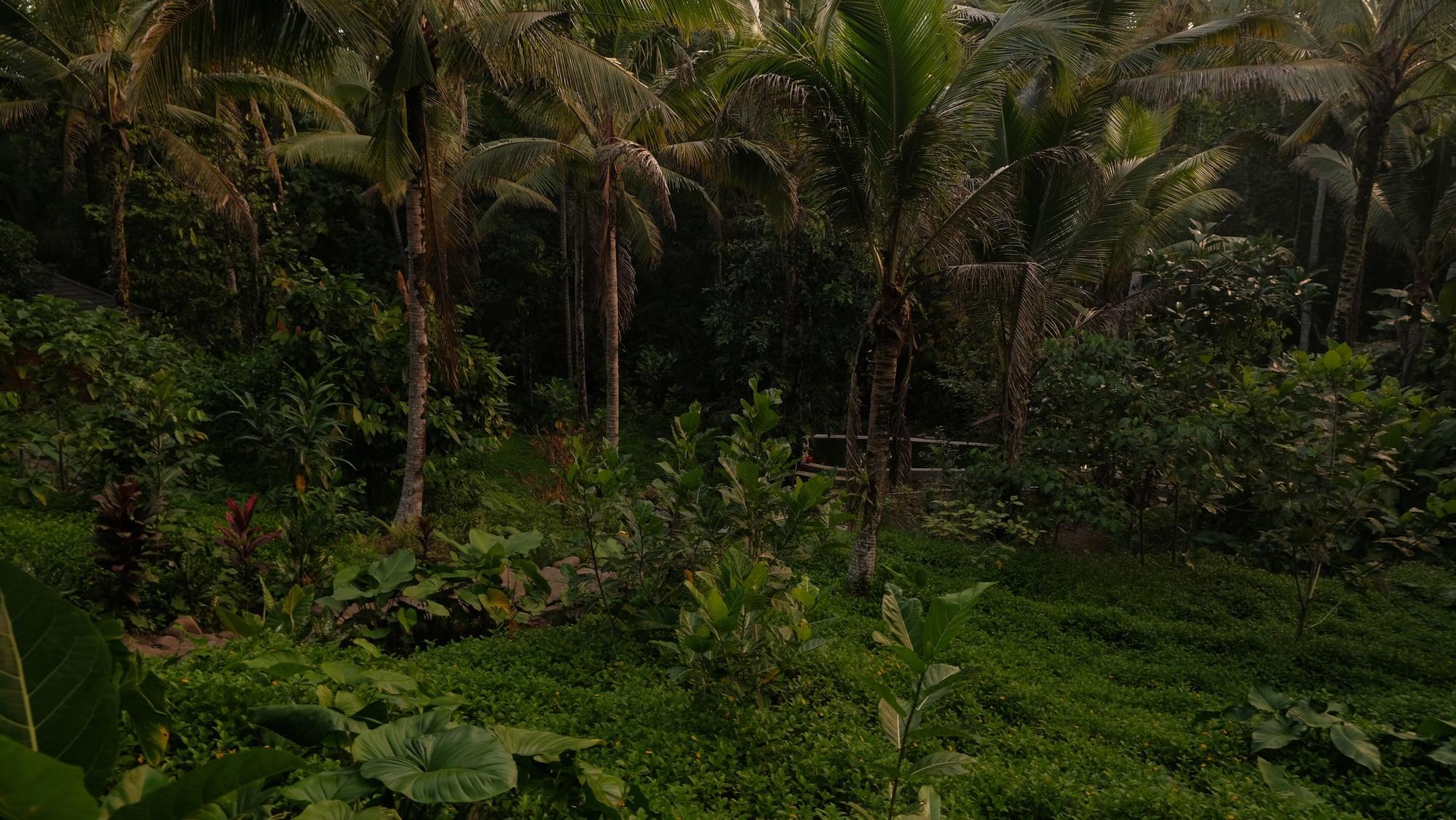 Vista Exterior Bali Secret Jungle
