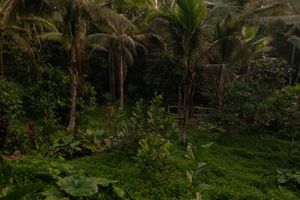 Alojamiento - Bali Secret Jungle