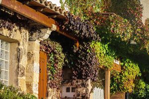 Alojamiento - Hotel Rural El Palomar