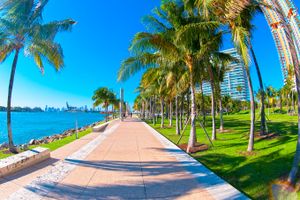 Paquete - Paquetes a Miami