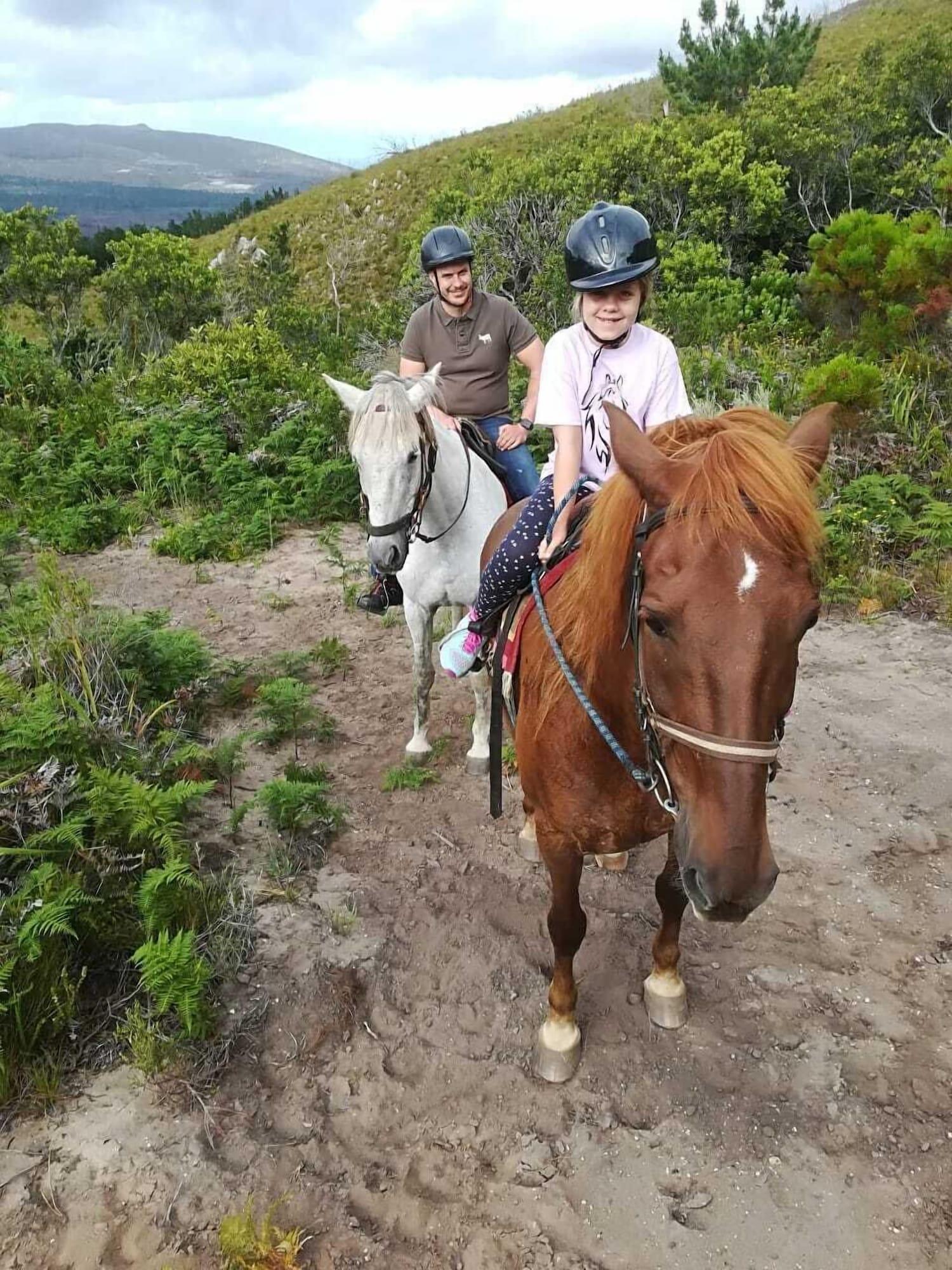 Instalaciones Recreativas Sixteen Guest House on Main