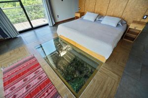 Alquiler Vacacional - Suite Flotante: glass carpet floor and magical views