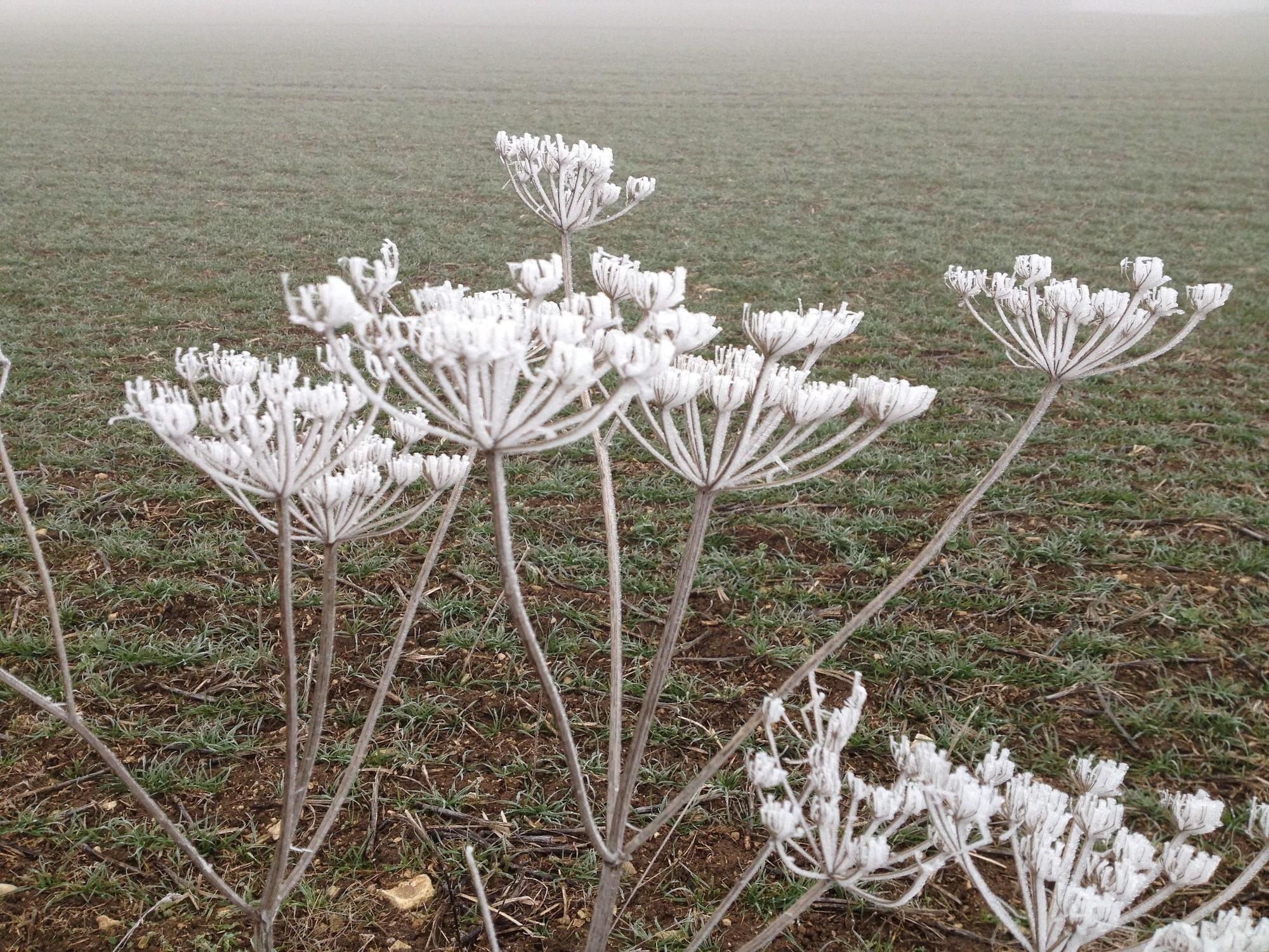 Vista Exterior La Musardine en Vexin