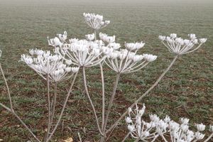 Alojamiento - La Musardine en Vexin