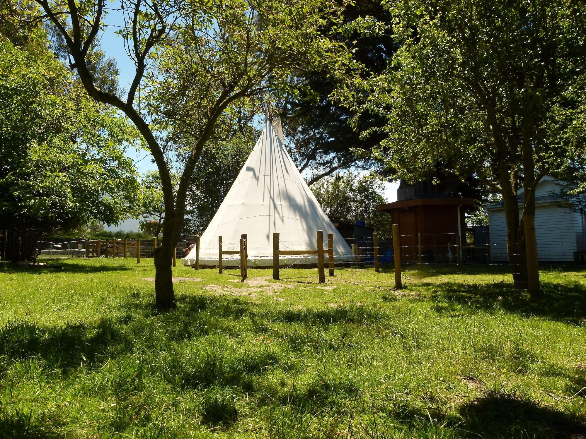 Equipamiento de Habitación Wacky Stays