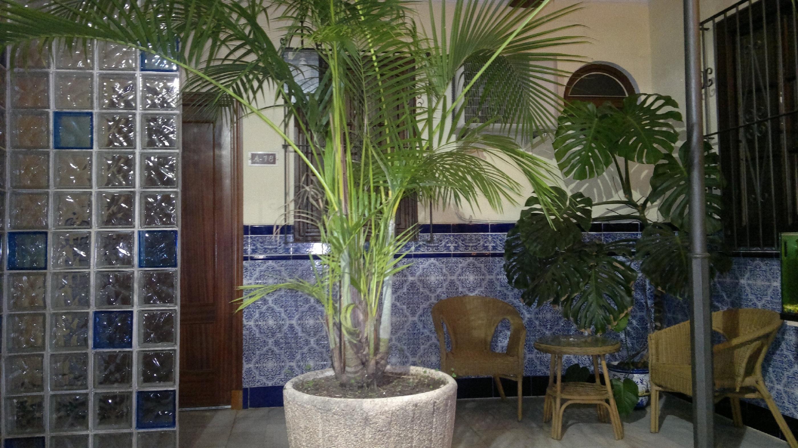 Vista Lobby Hotel Nova Centro