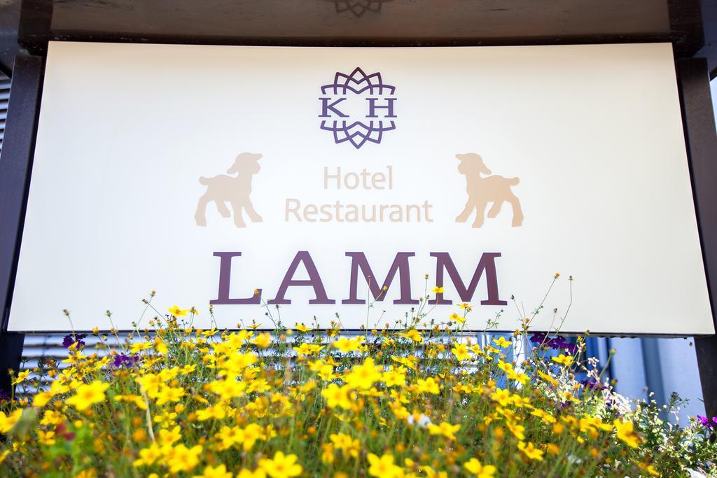 Vista Lobby Hotel Lamm