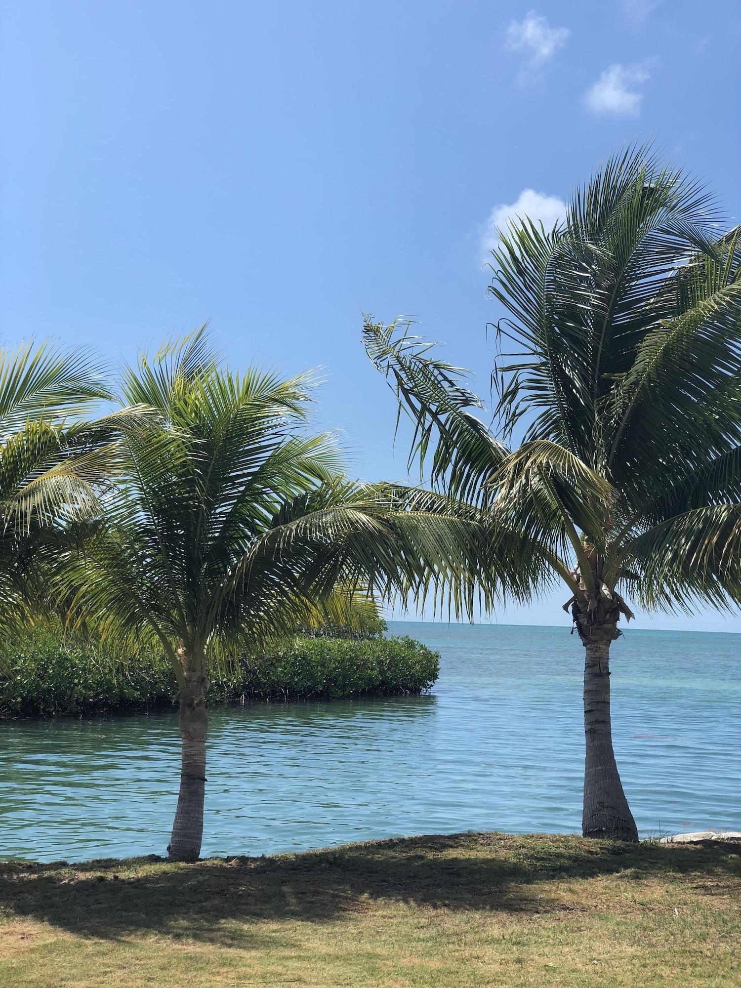 Vista Exterior Shaka Caye