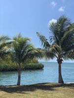 Alojamiento - Shaka Caye