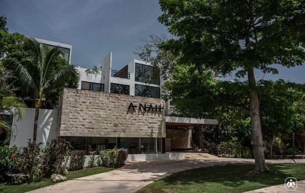 Escápate a la aventura de conocer Akumal