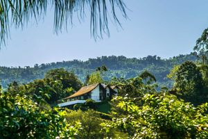 Alojamiento - Pousada Casa Branca
