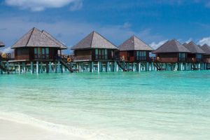 Activity - Malé Airport Speedboat Transfer
