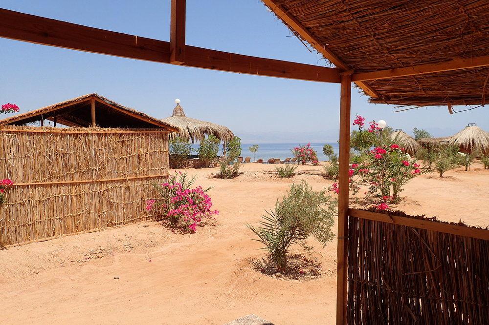 Vista Exterior Bedouin Star