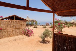 Alojamiento - Bedouin Star