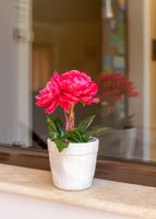 Alojamiento - Hotel Corfu Secret