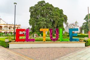 Actividad - Tradición Milenaria