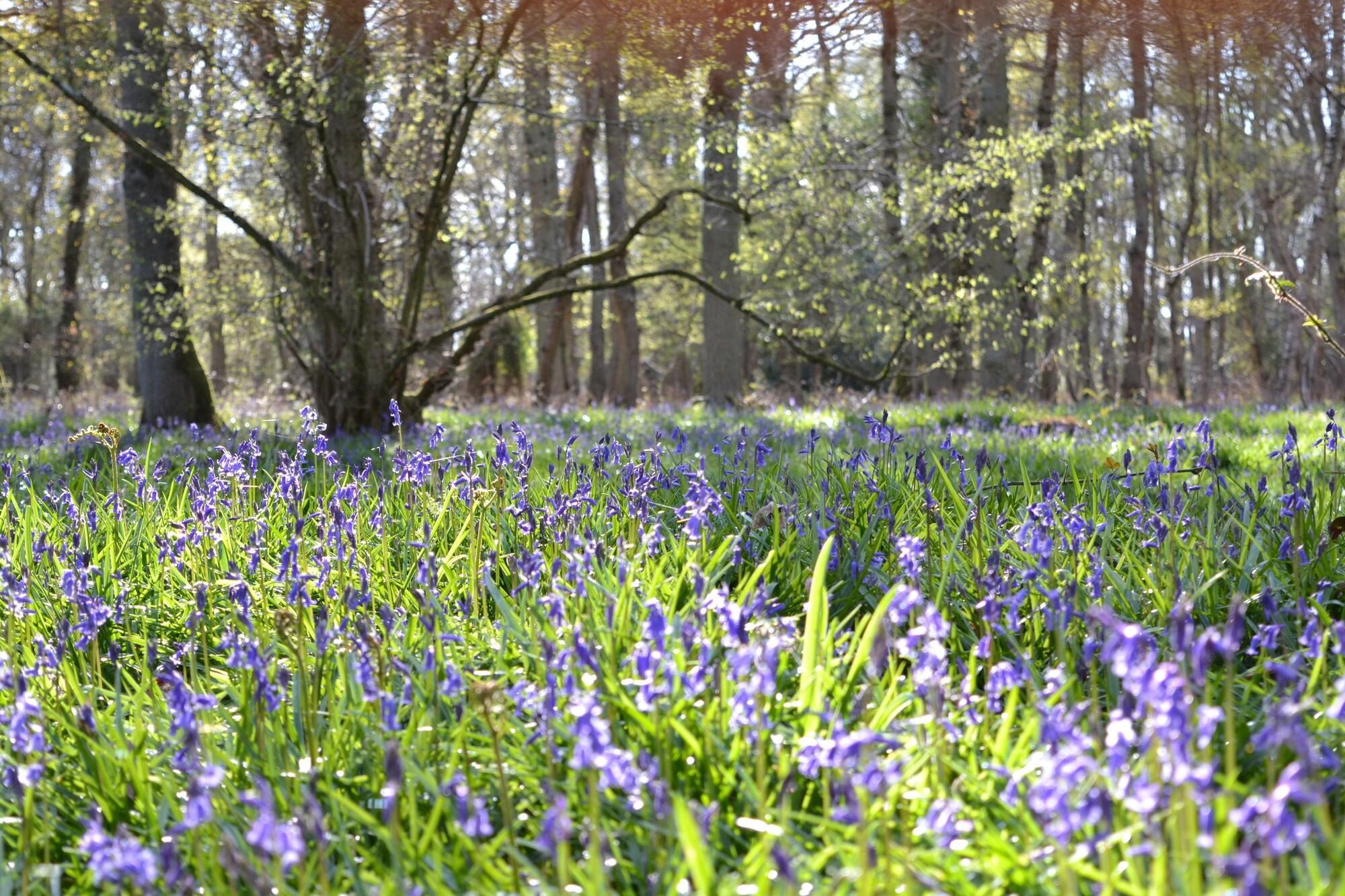 Vista Exterior The Kingsley at Eversley