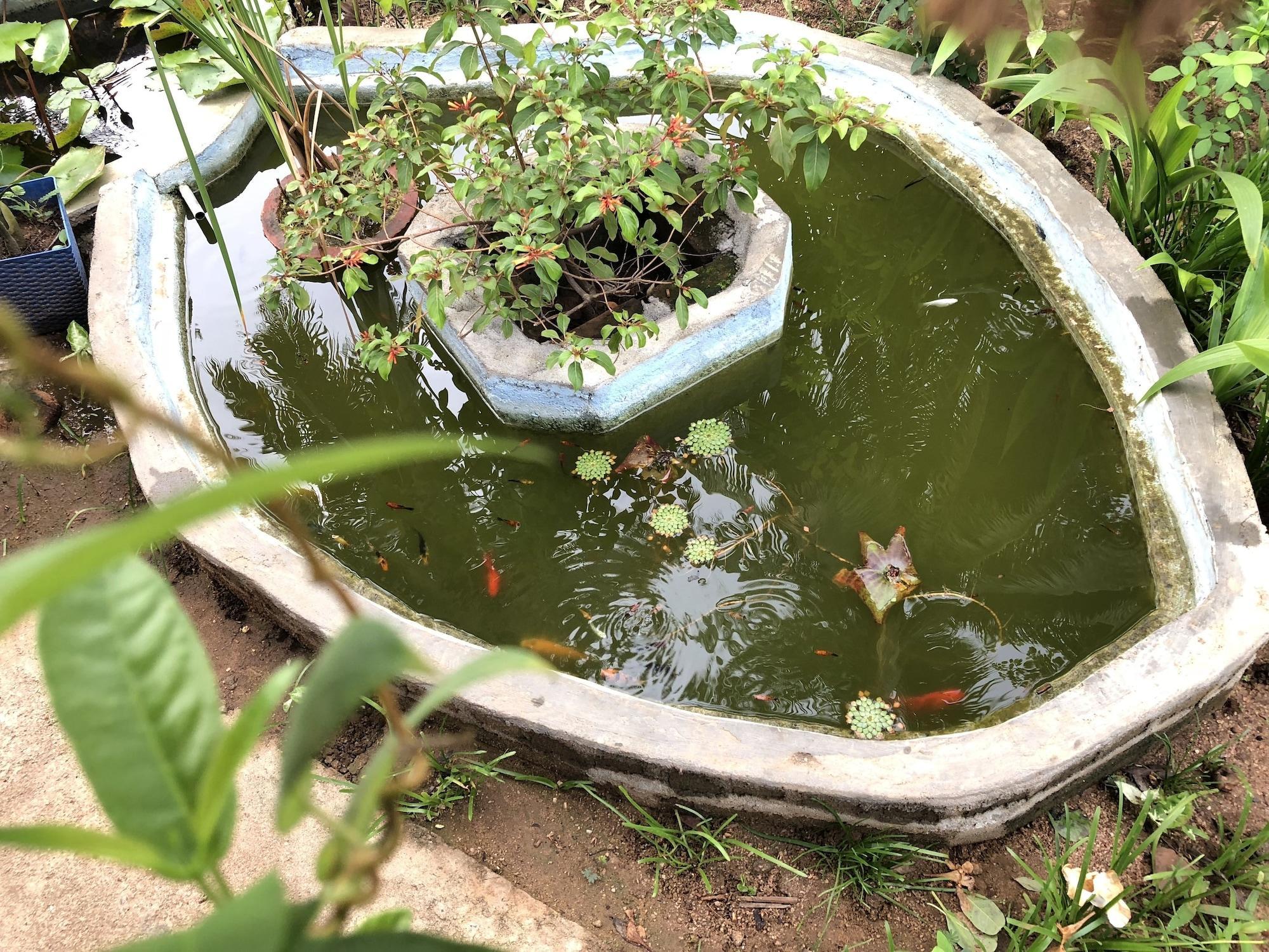 Vista Exterior Sigiriya Nature Villa Lodge